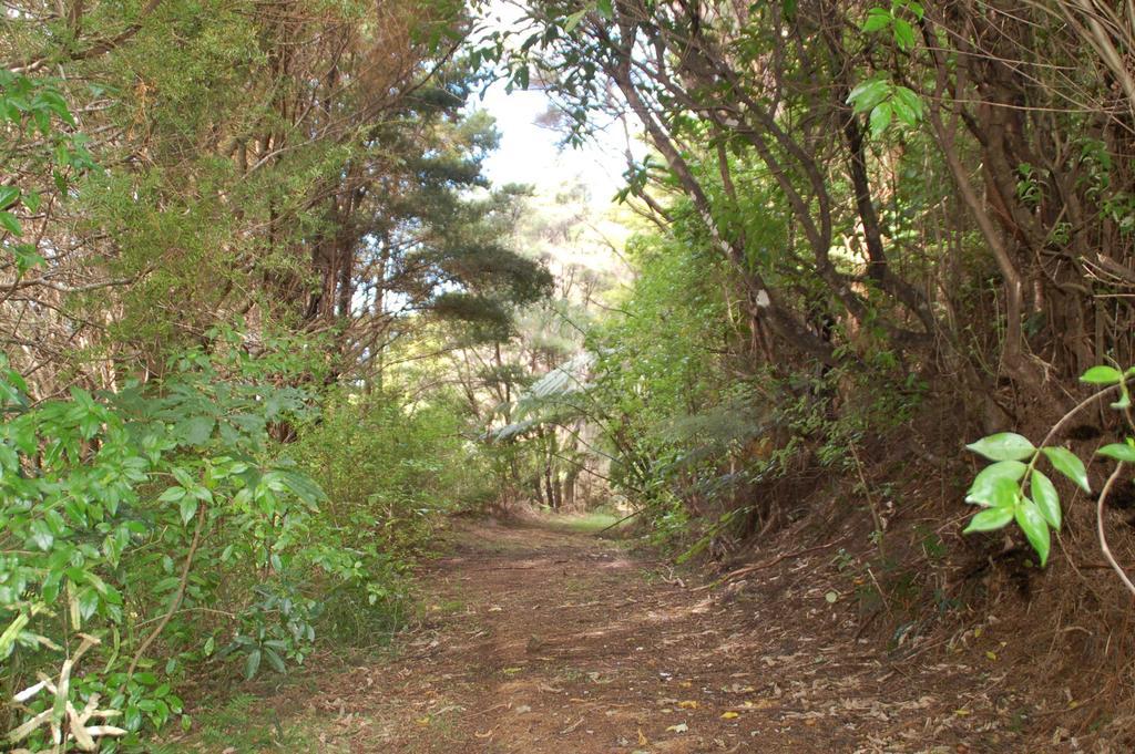Kohinui Glade Holiday Cottage Parua Bay Экстерьер фото