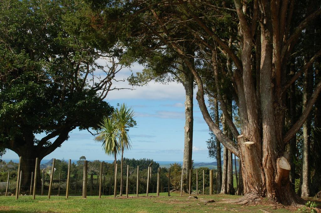 Kohinui Glade Holiday Cottage Parua Bay Экстерьер фото